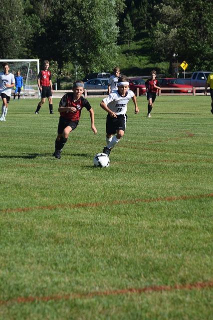 业生涯中的 业生涯中的