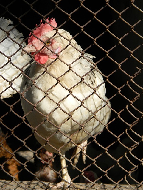 体表现优异 体表现优异