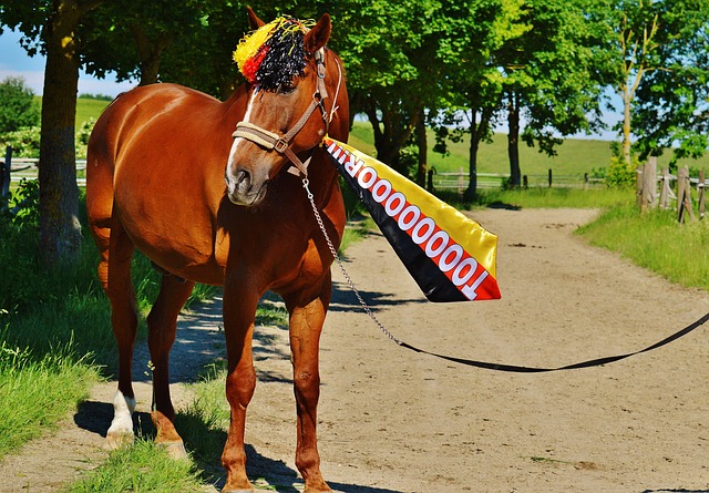 尚需进一步 尚需进一步