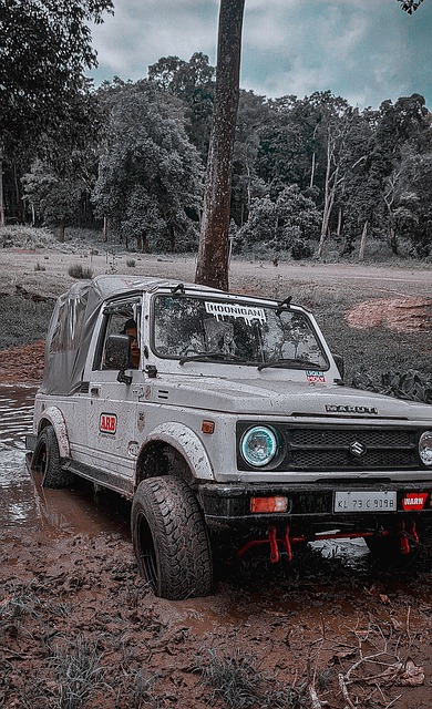 歐媒熱報 加福德想加入斯洛文尼亞男籃為明年的歐洲杯拼拼看.