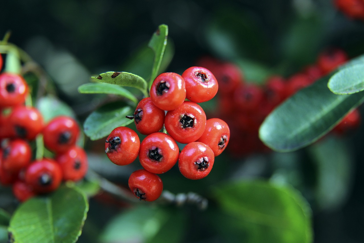 NBA最新排名：库里52分勇士升西部第5 约基奇空砍61分被湖人逼近 - 罗说NBA.